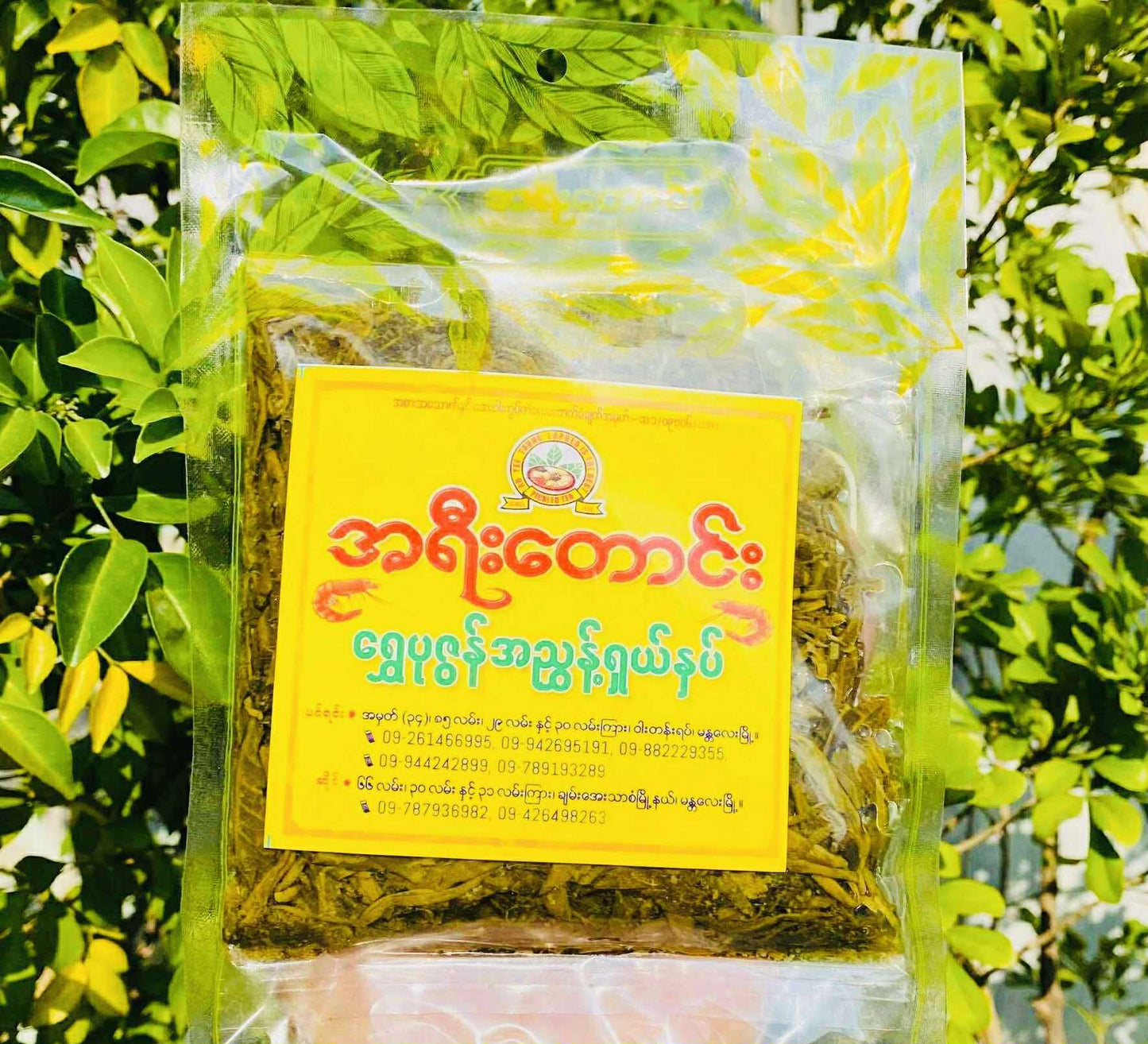 အရီးတောင်း ရွှေပုဇွန် အညွန့်ရှယ်နှပ်