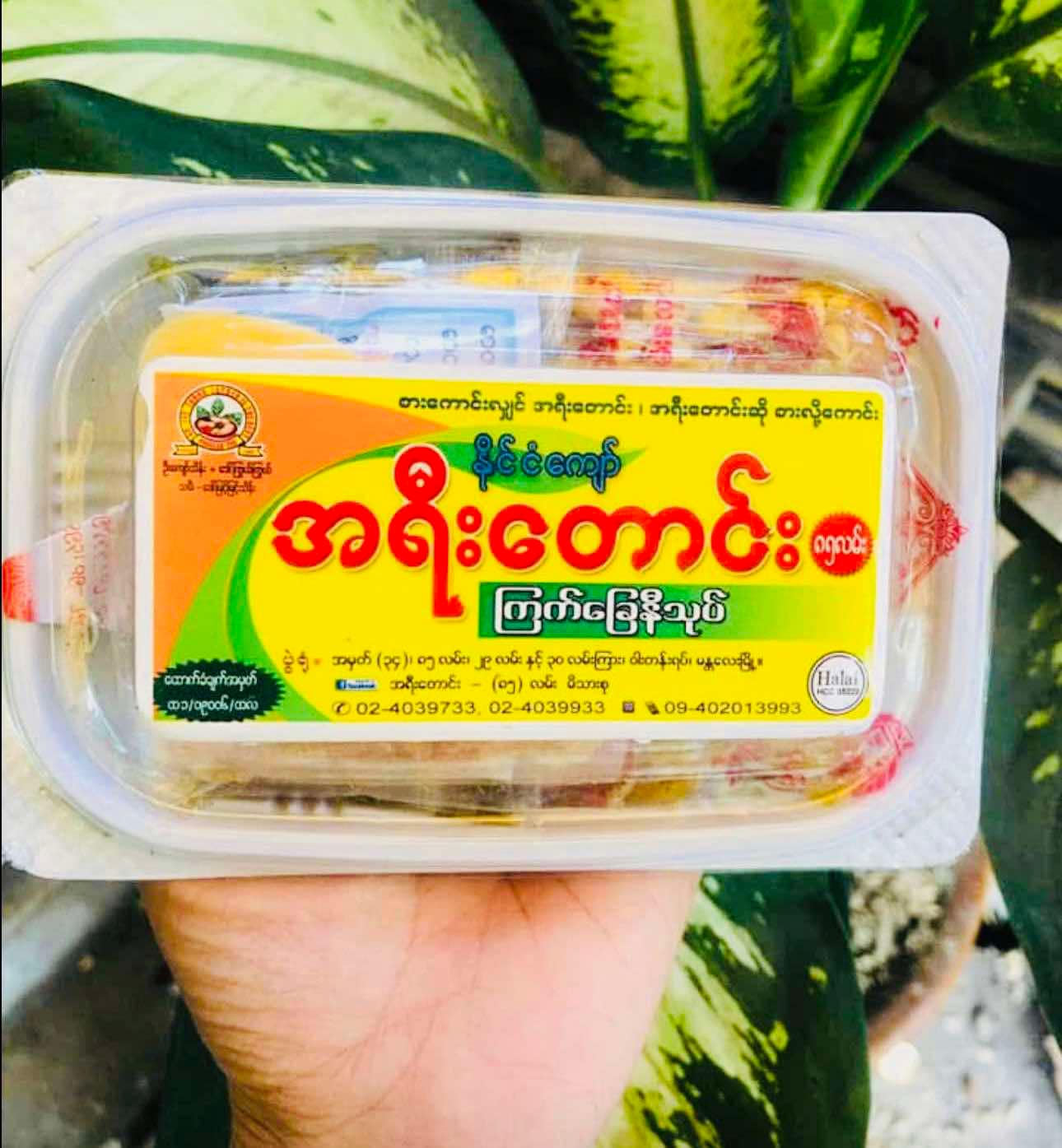 အရီးတောင်း ကြက်ခြေနီသုပ် + အကြော်