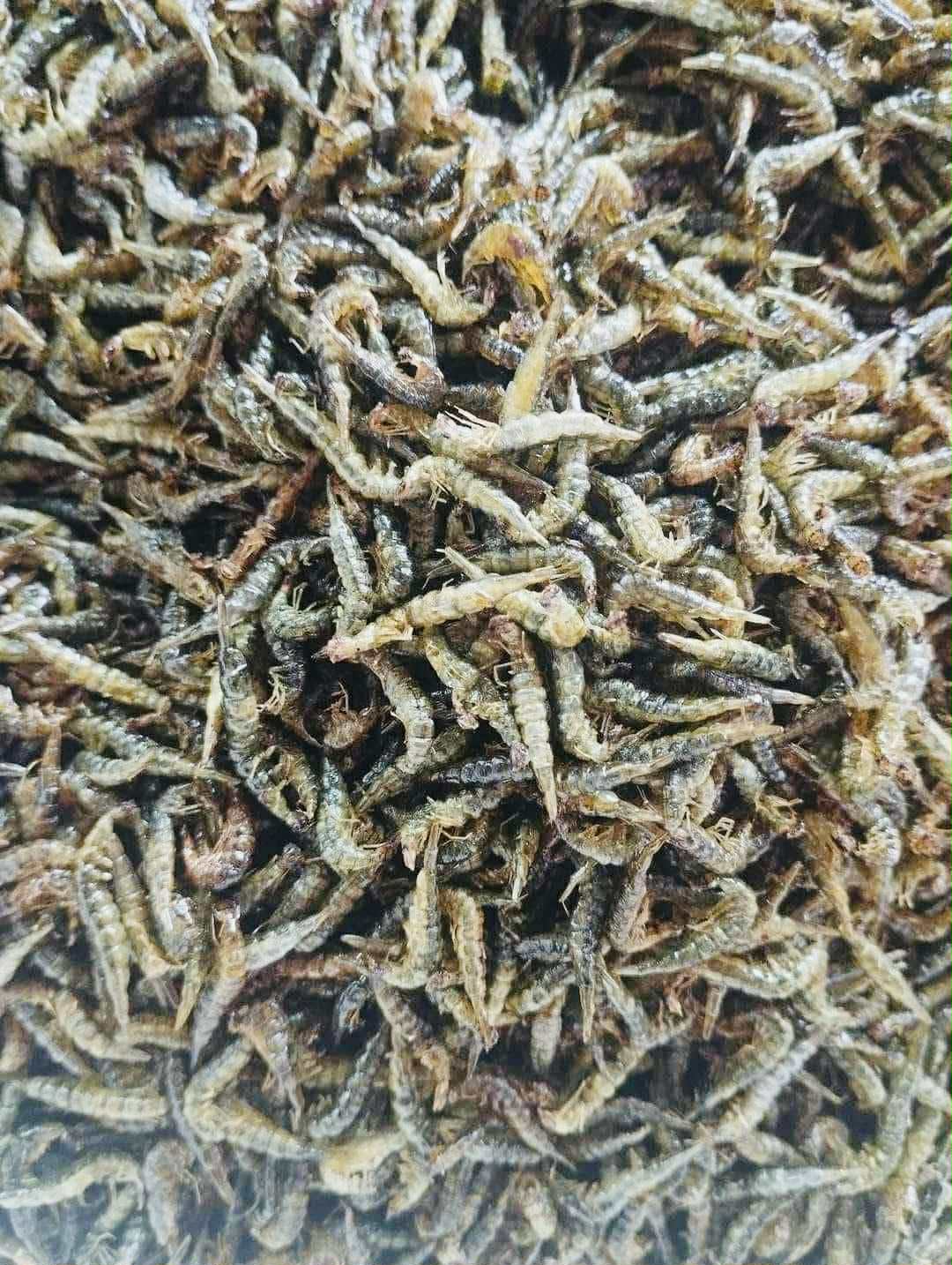 Made in Mandalay တွင်းပိုးကြော်