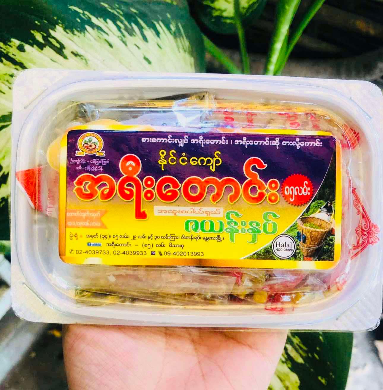 အရီးတောင်း ဇယန်းနှပ် + အကြော်