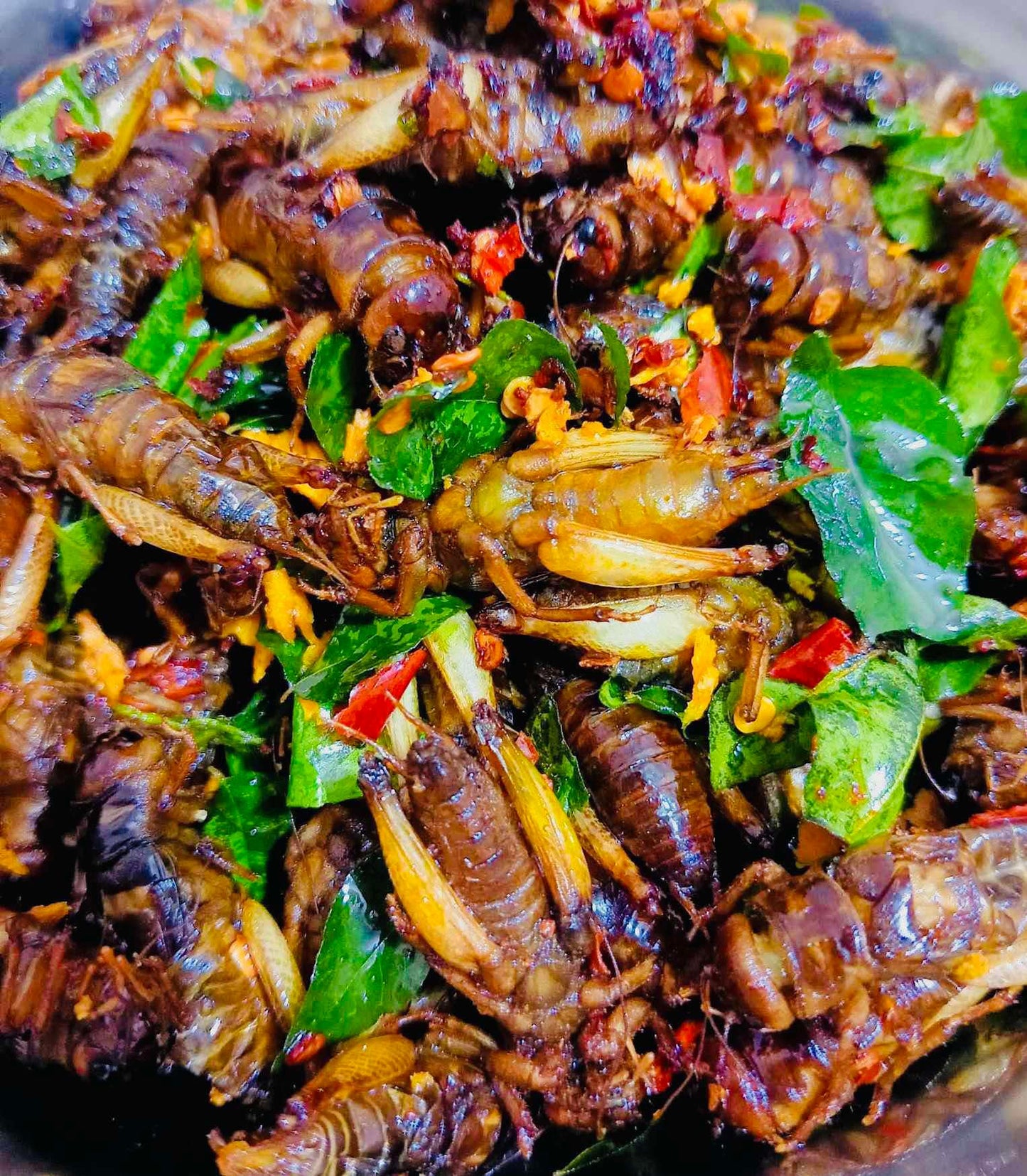 ဆုလာဘ် အမဥအပြည့်ပါ ဆောင်းပုရစ် အစပ်ကြော်(အကောင် ၅၀)