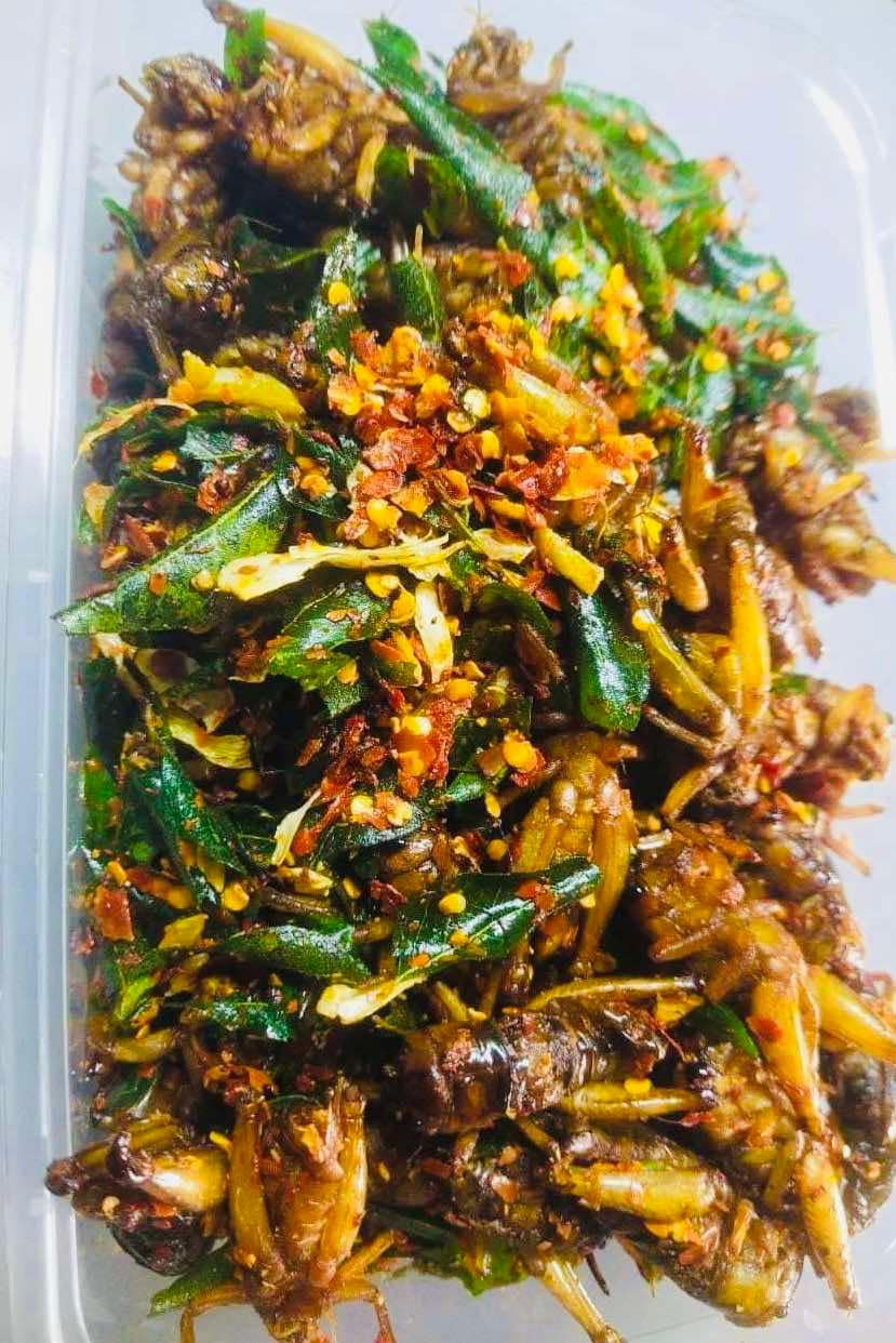 ဆုလာဘ် အမဥအပြည့်ပါ ဆောင်းပုရစ် အစပ်ကြော်(အကောင် ၅၀)