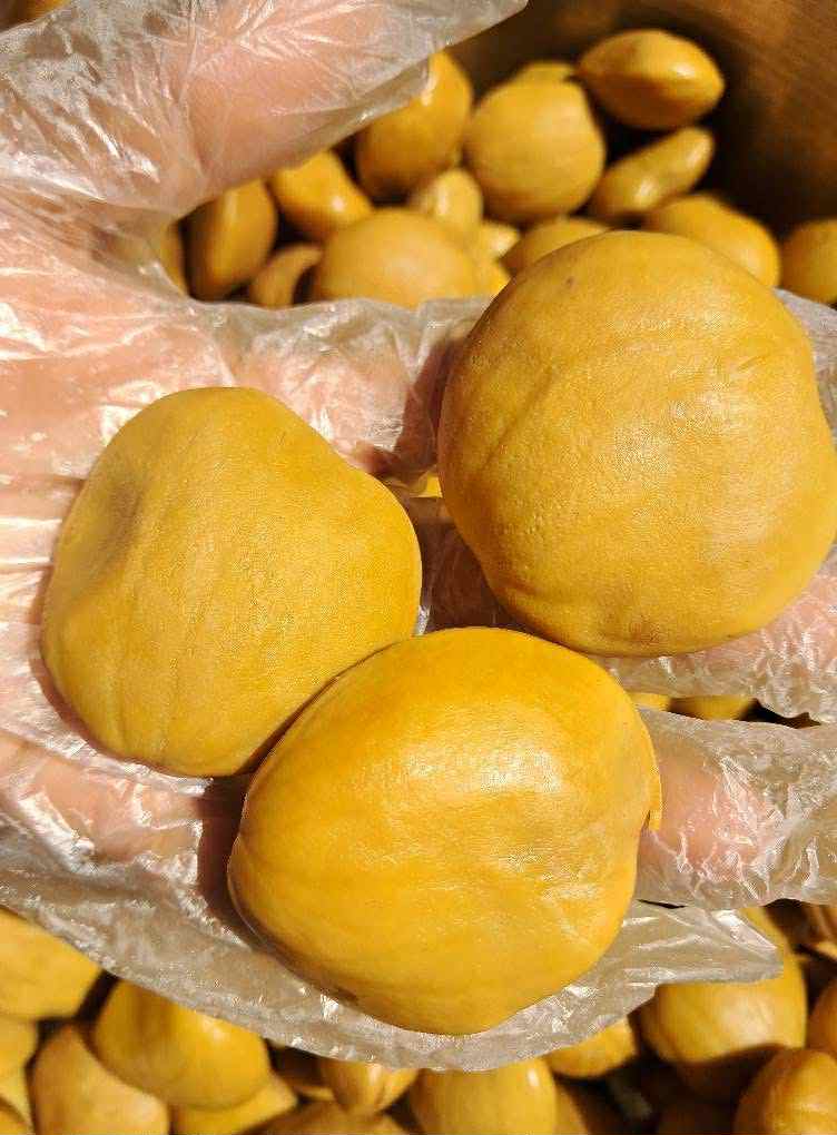 မေ့မေတ္တာ ဒညင်းသီးပြုတ်