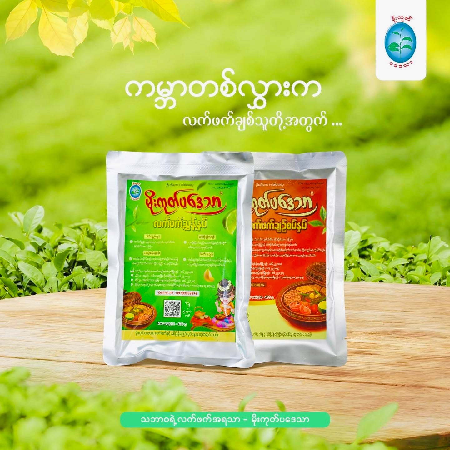 မိုးကုတ်ပဒေသာ လက်ဖက်ညွှန့်နှပ် ချဉ်စပ်