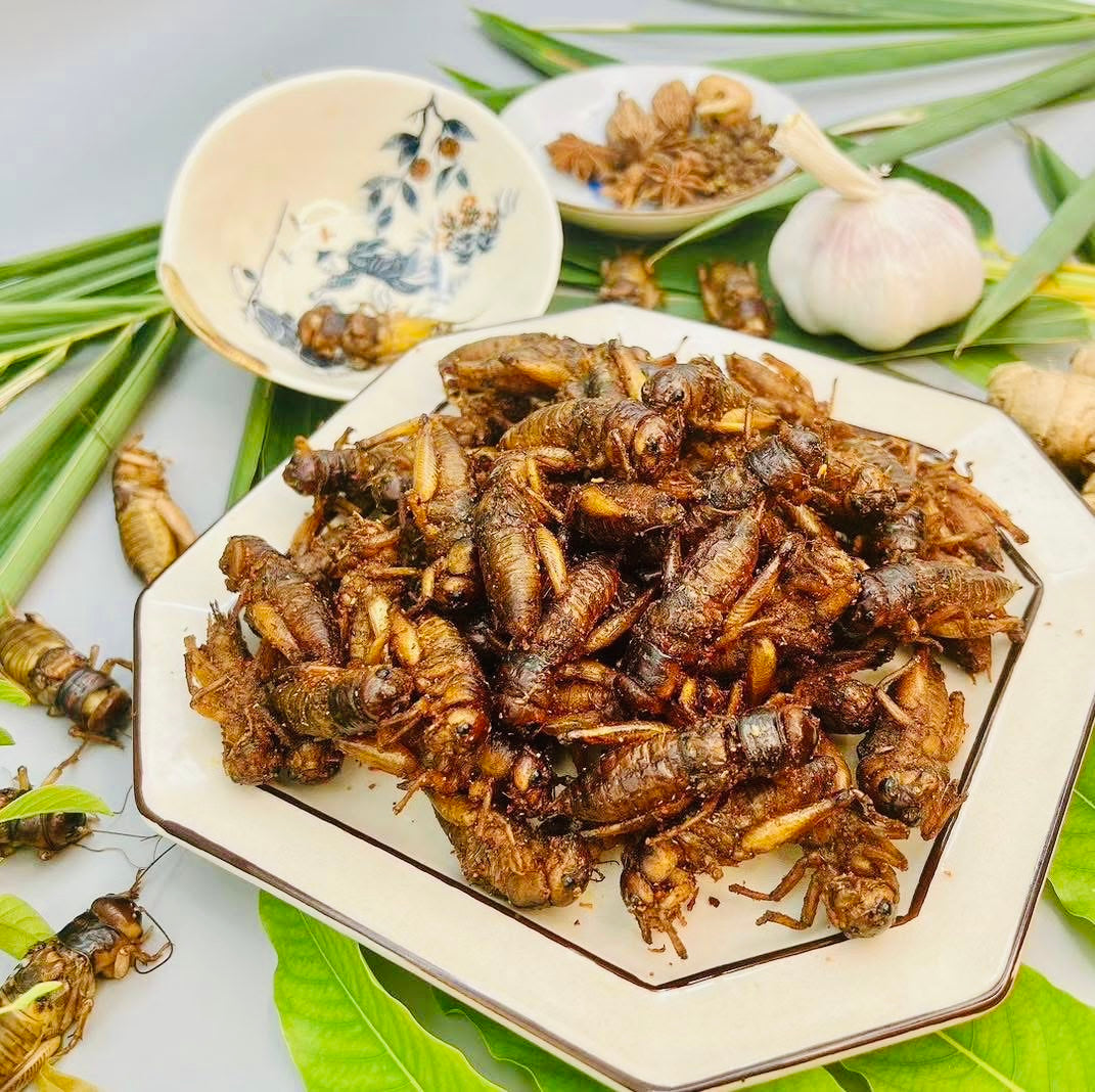 Little Worm အမသီးသန့်ဥအပြည့် ပုရစ်ကြော် (အကောင် ၅၀)