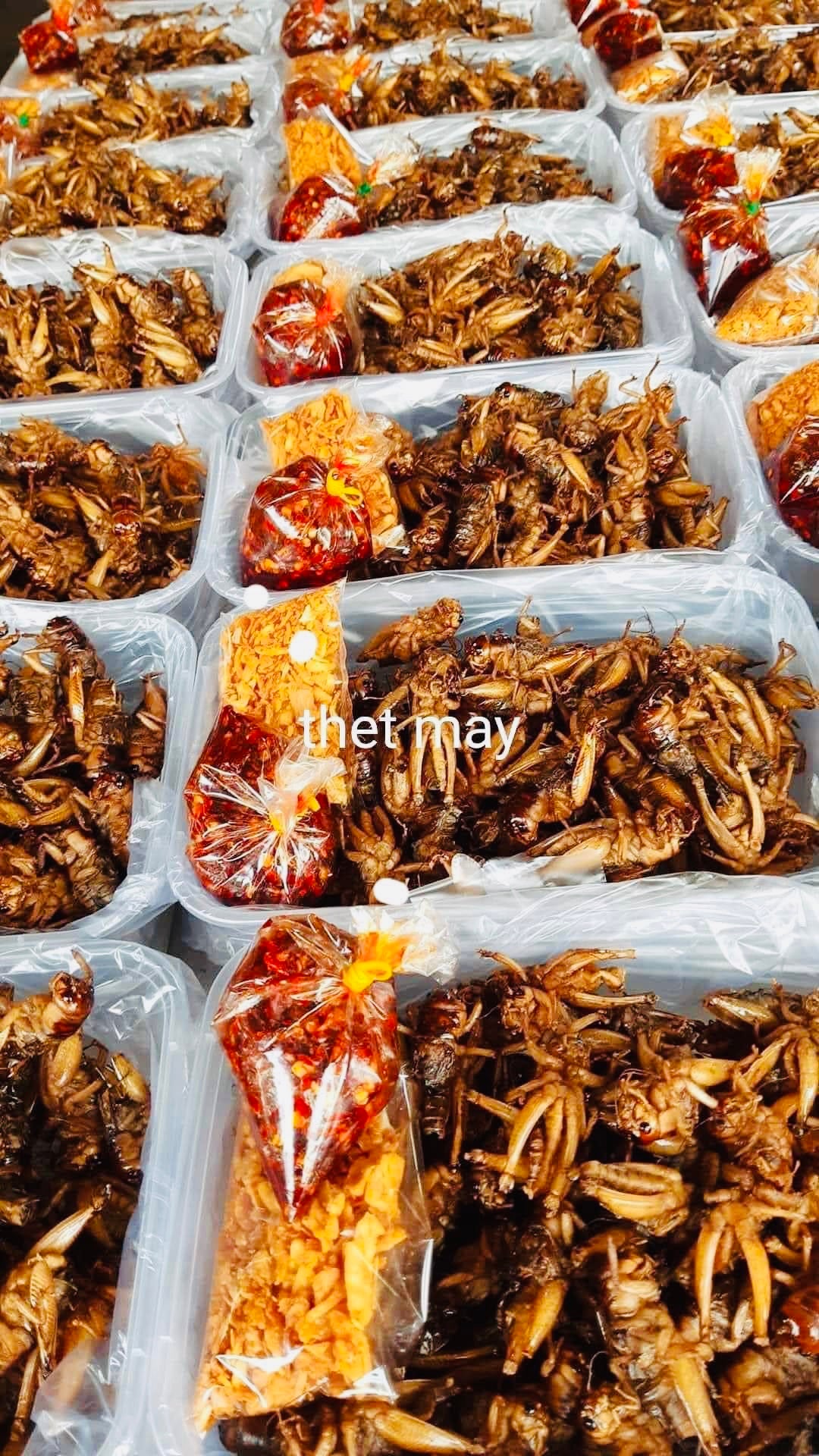 သက်မေ ပုရစ်ကြော် (အကောင် ၅၀) (အမဥပါ နှင့်အထီးအရော)