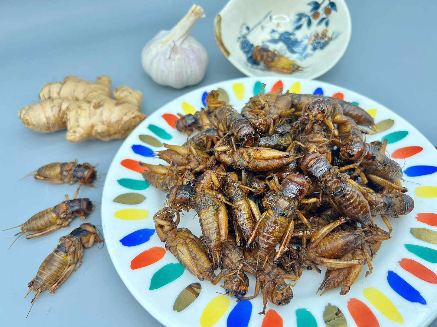 Little worm မိုးပုရစ်ကြော် မာလာအရသာ