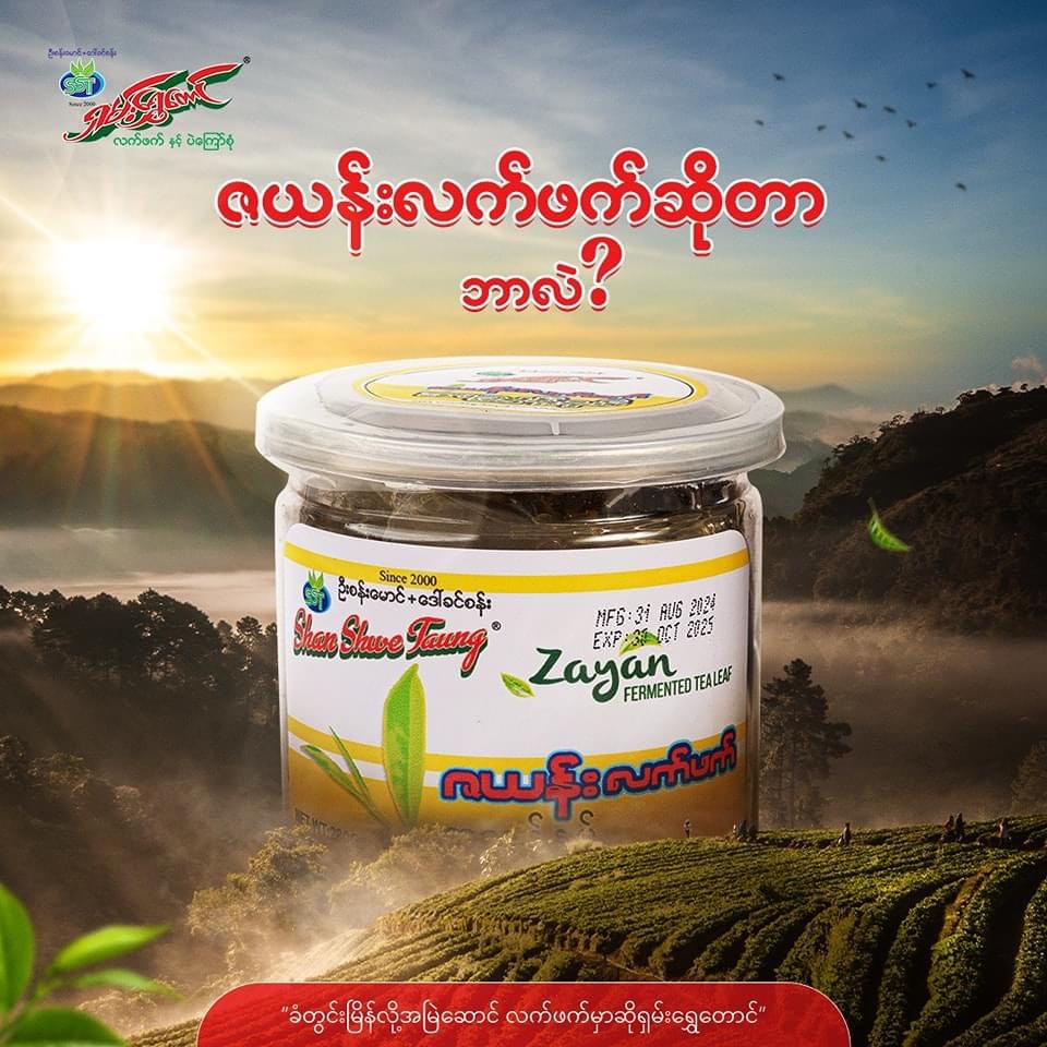 ရှမ်းရွှေတောင် ဇယန်းလက်ဖက်ညွန့်နှပ်