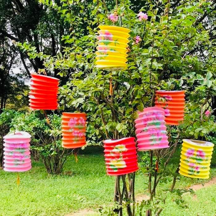 မိုမိုကို ရောင်စုံမီးပုံး ( ၁၀ လုံးပါ Random colours)