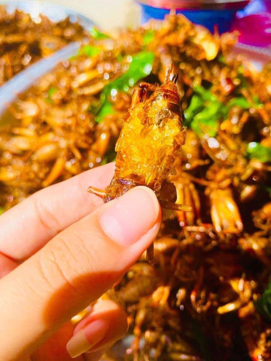 ရန်ကုန်သူ အမဥအပြည့်ပါ ပုရစ်ကြော်အစပ် (အကောင် ၅၀)