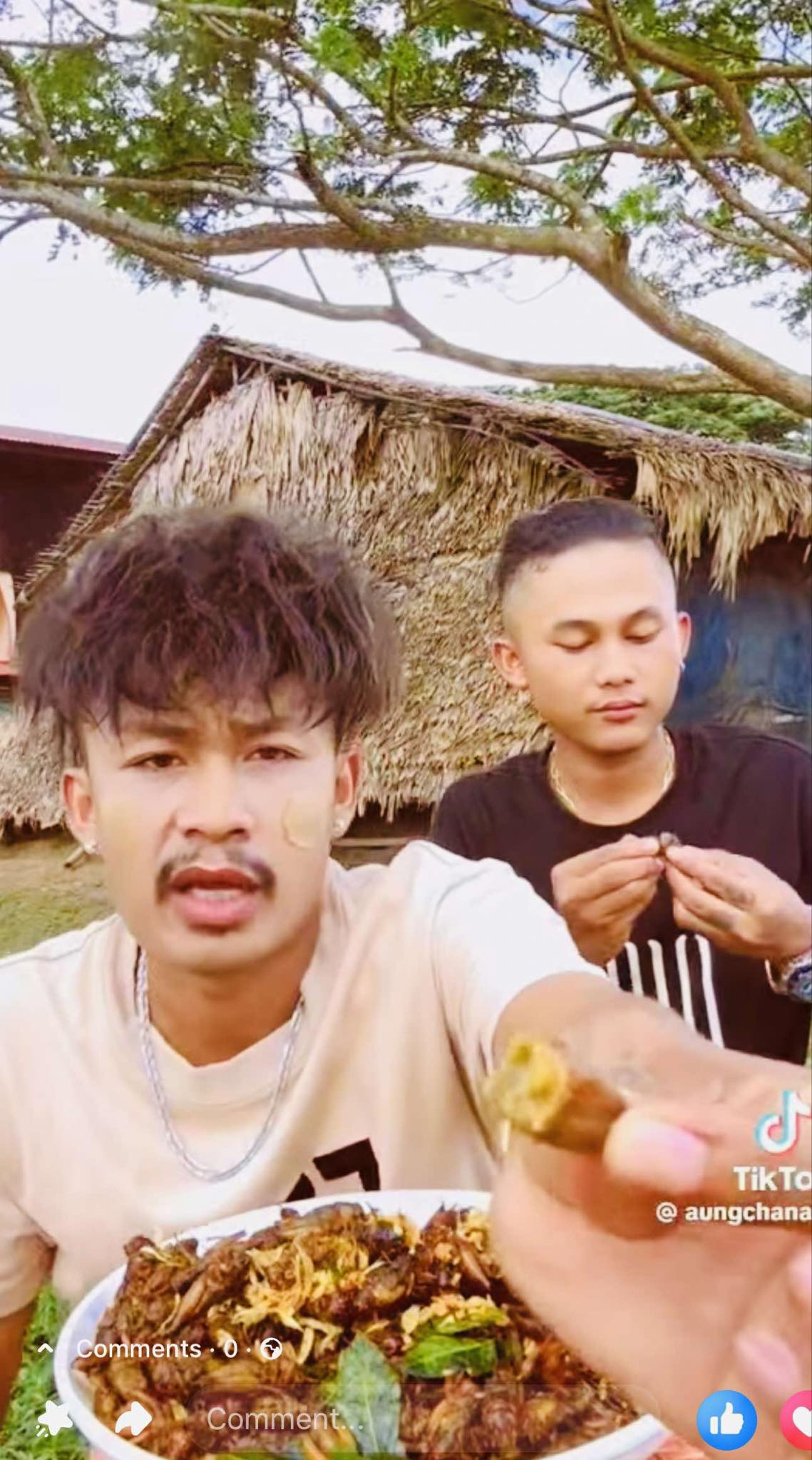 ရန်ကုန်သူ အမဥအပြည့်ပါ ပုရစ်ကြော်အစပ် (အကောင် ၅၀)