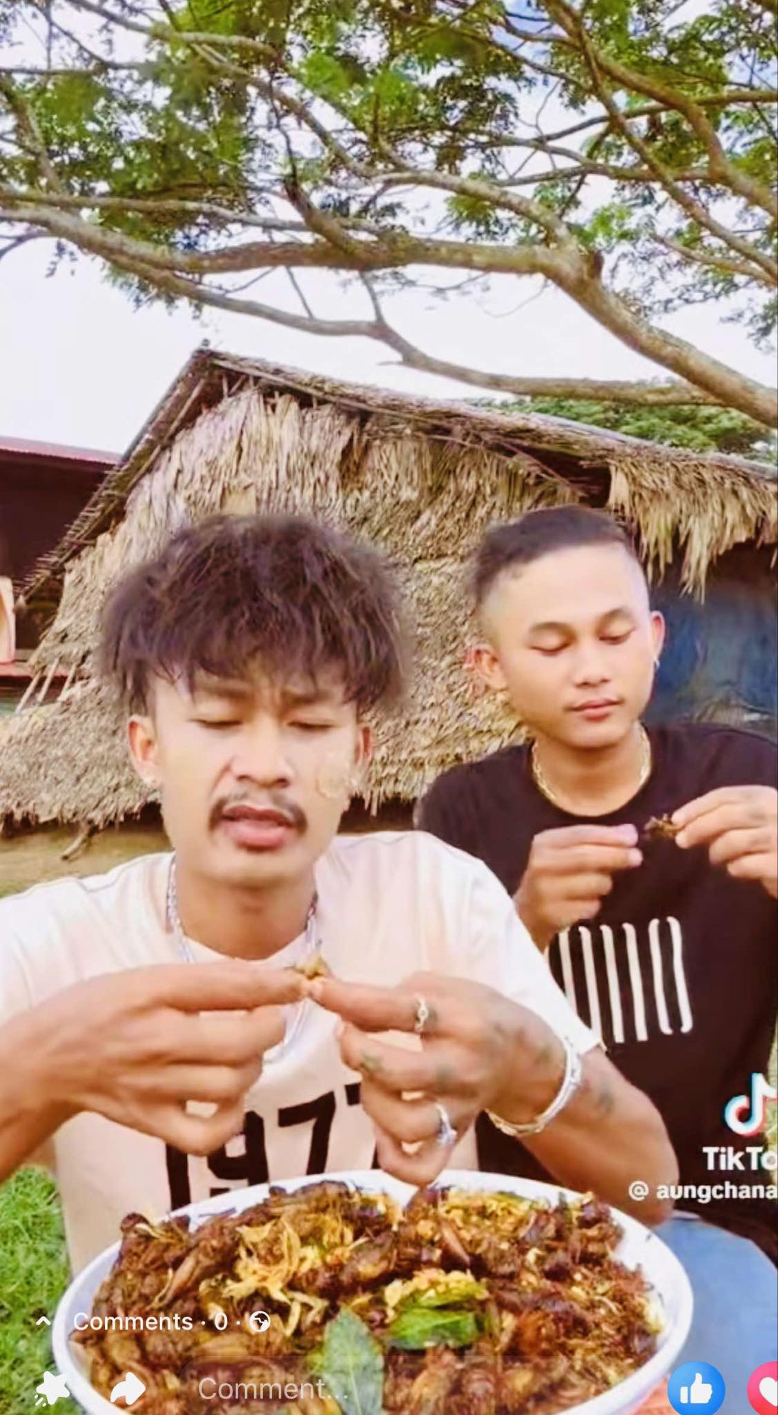 ရန်ကုန်သူ အမဥအပြည့်ပါ ပုရစ်ကြော်အစပ် (အကောင် ၅၀)