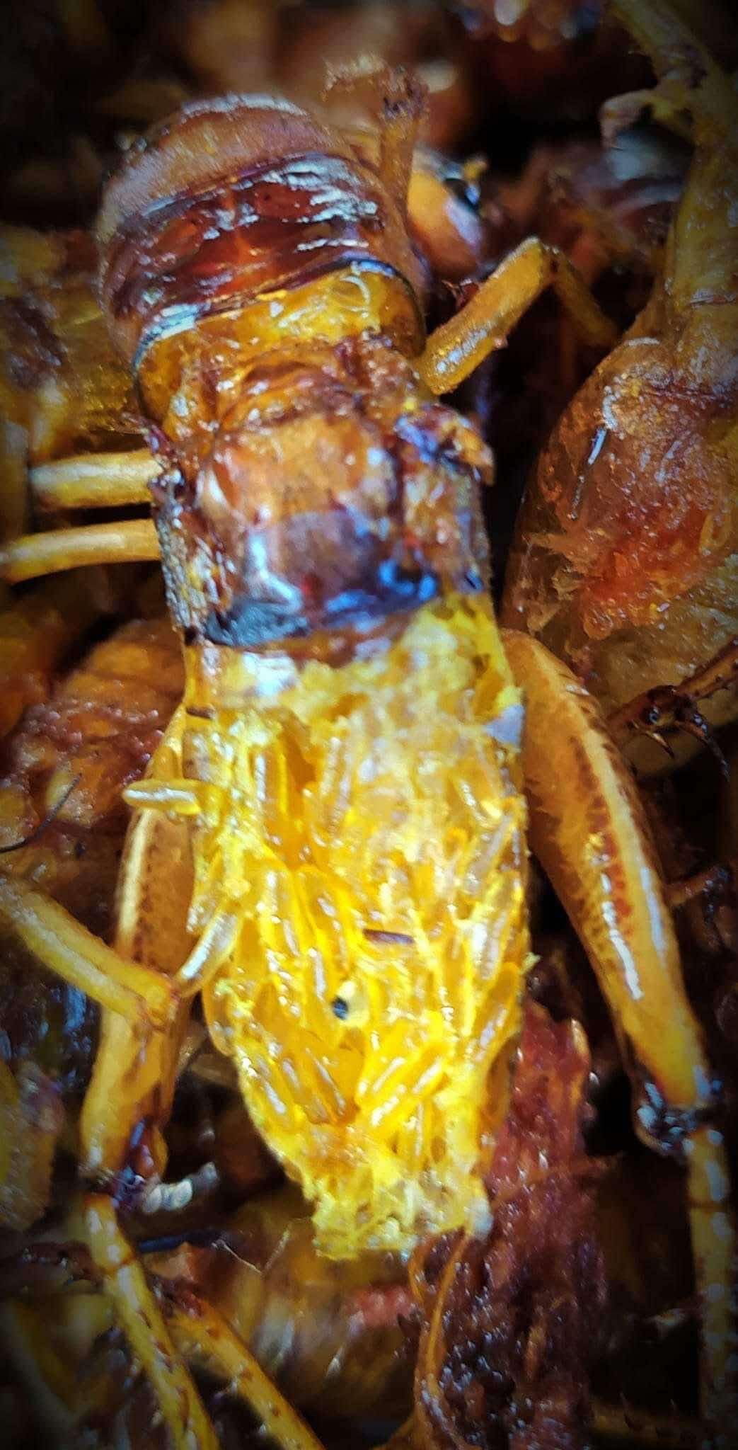 ရန်ကုန်သူ အမဥအပြည့်ပါ ပုရစ်ကြော်အစပ် (အကောင် ၅၀)