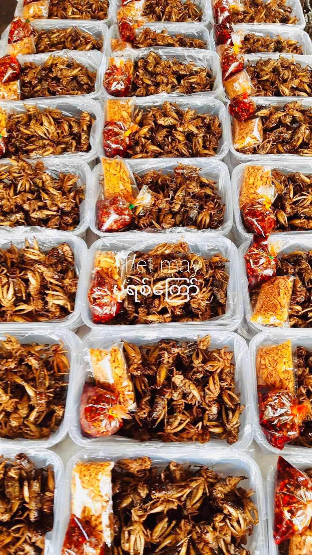 သက်မေ ပုရစ်ကြော် (အကောင် ၅၀)