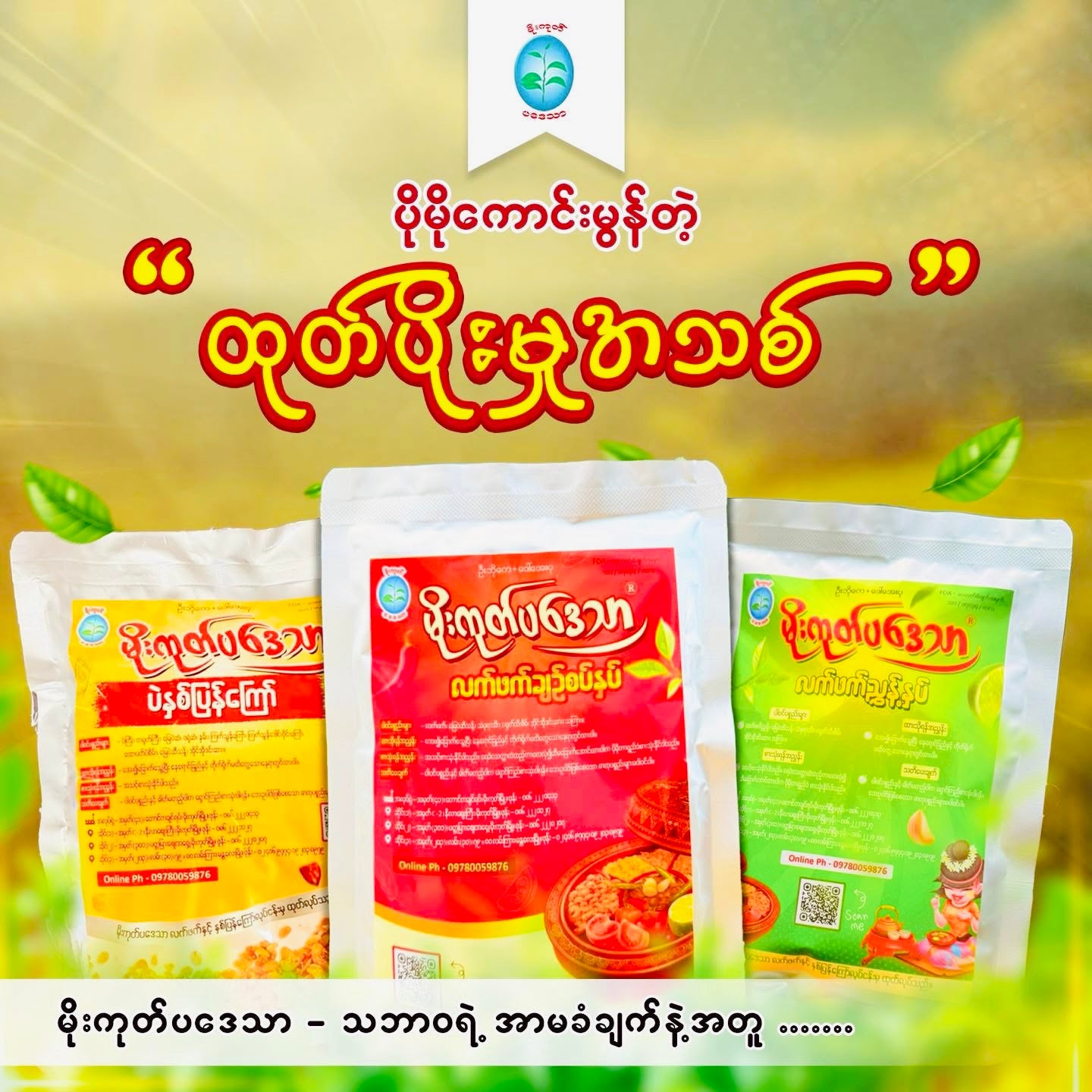 မိုးကုတ်ပဒေသာ လက်ဖက်ညွှန့်နှပ် ချဉ်စပ်