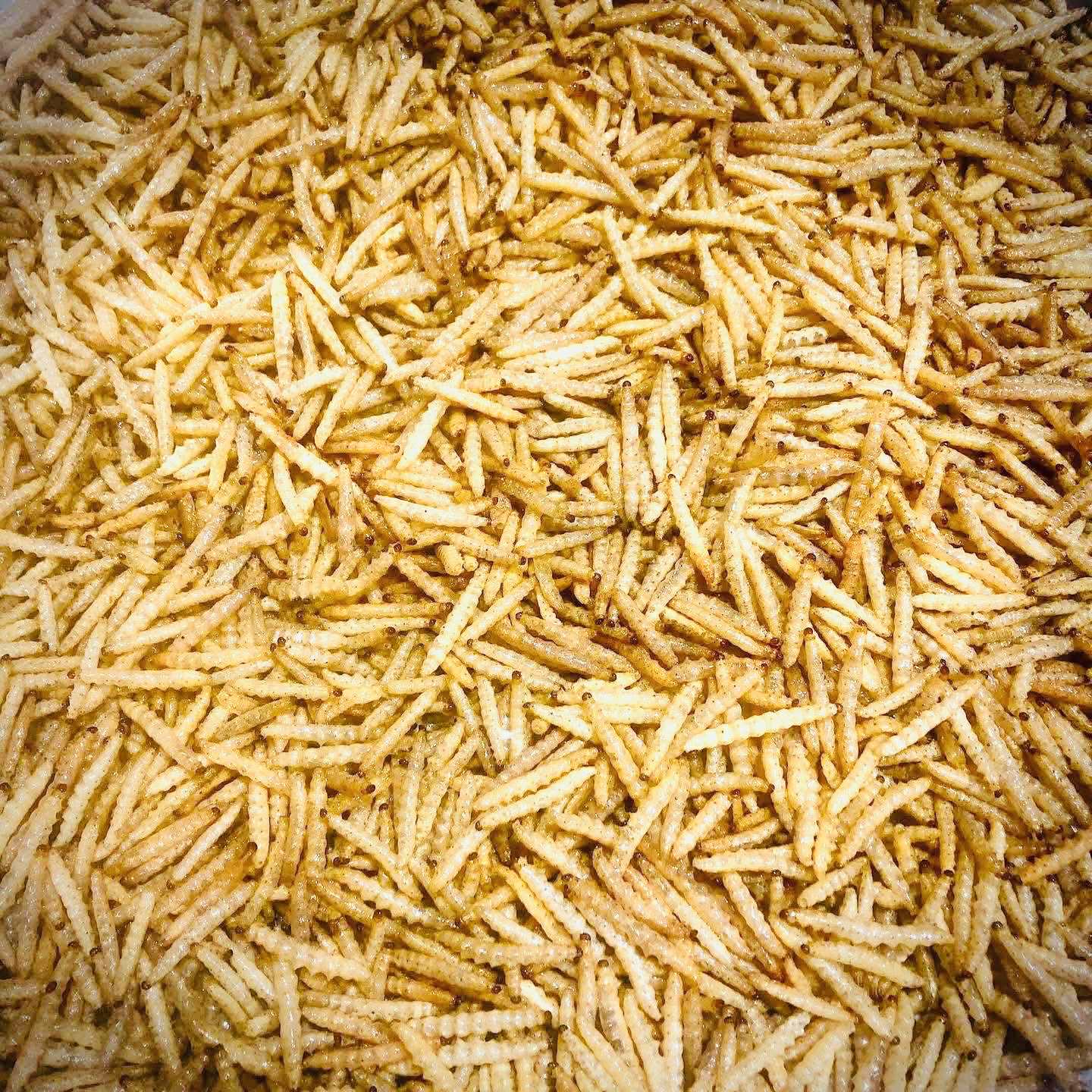 Little Worm မိုးကုတ် ဝါးပိုးကြော်