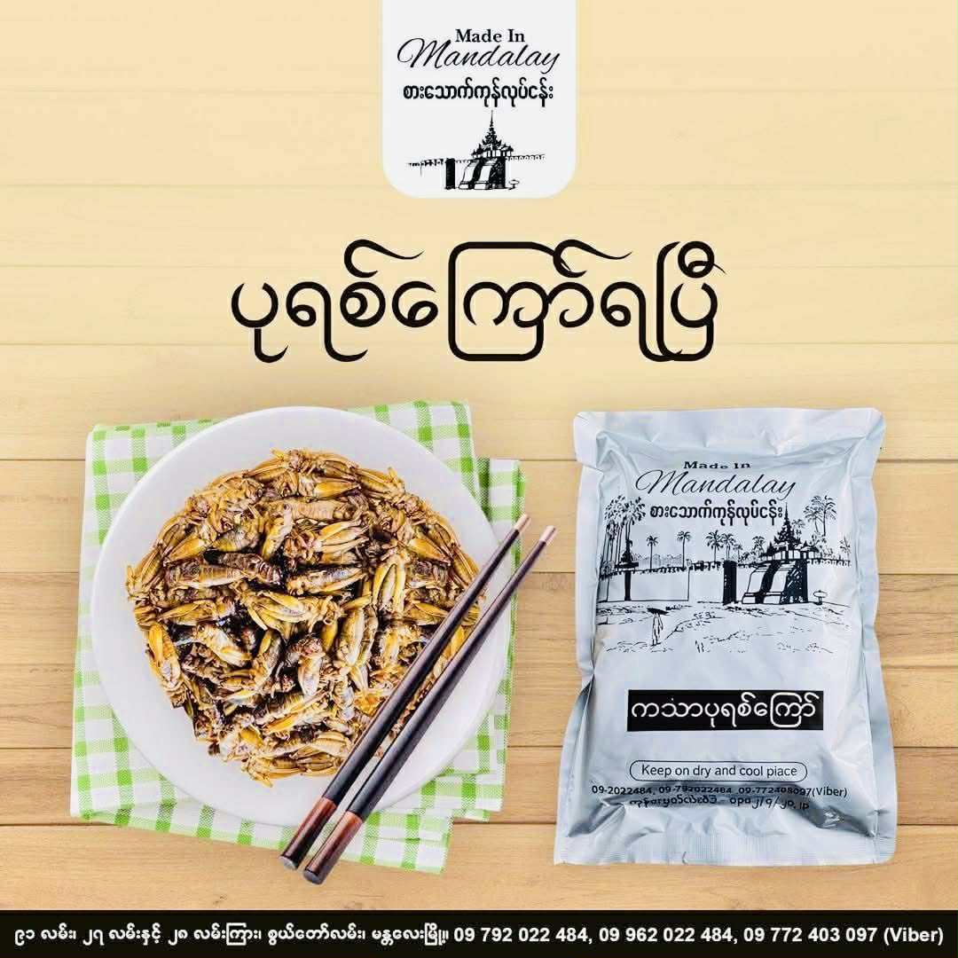 Made in Mandalay ကသာပုရစ်ကြော် (အကောင် ၁၀၀)