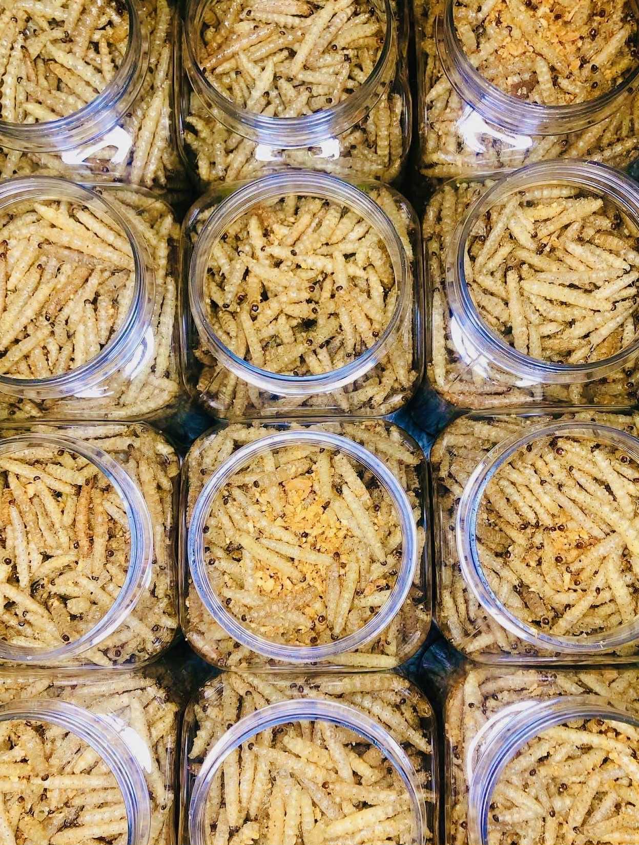 Little Worm မိုးကုတ် ဝါးပိုးကြော်