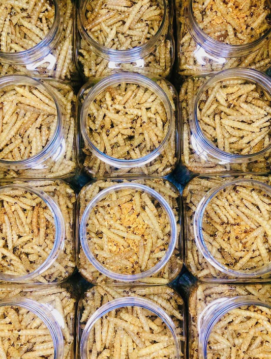 Little Worm မိုးကုတ် ဝါးပိုးကြော်