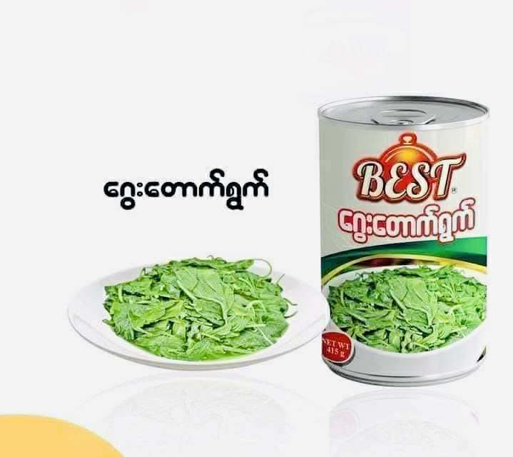 Best ‌ေဂွးတောက်ရွက်ပြုတ်