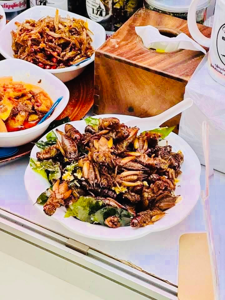 Made in Mandalay အမသီးသန့်ဥအပြည့်ပါ (အကောင် ၅၀)