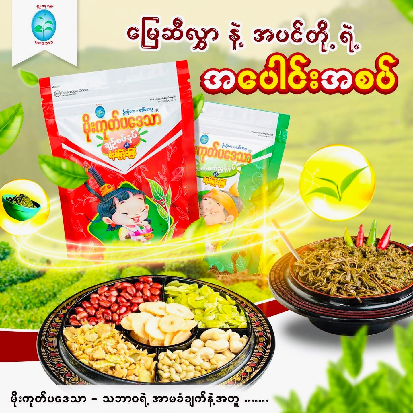 မိုးကုတ်ပဒေသာ လက်ဖက်ညွှန့်နှပ် ချဉ်စပ်