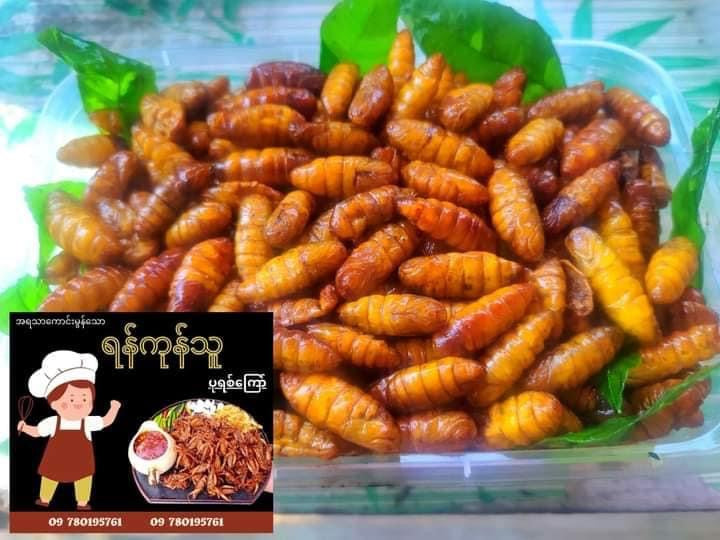 MDY- ရန်ကုန်သူ ပိုးစားကြော်အစပ်