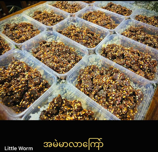 Little Worm အမဲမာလာကြော်