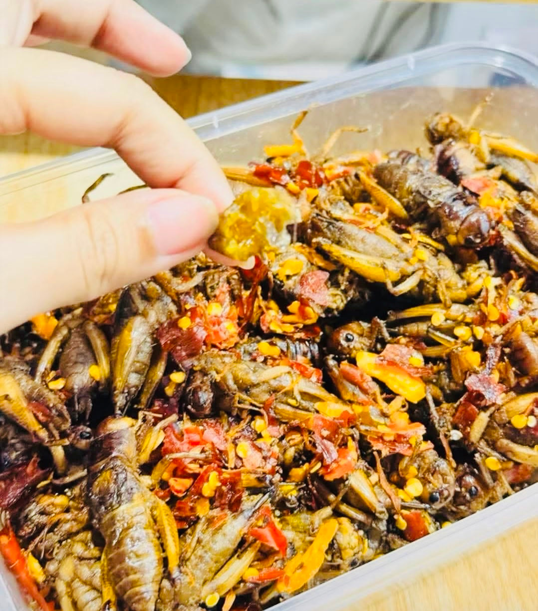 သက်မေ ပုရစ်ကြော် (အကောင် ၅၀) (အမဥပါ နှင့်အထီးအရော)