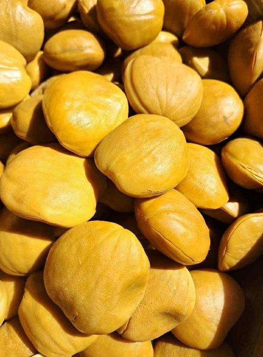 မေ့မေတ္တာ ဒညင်းသီးပြုတ်