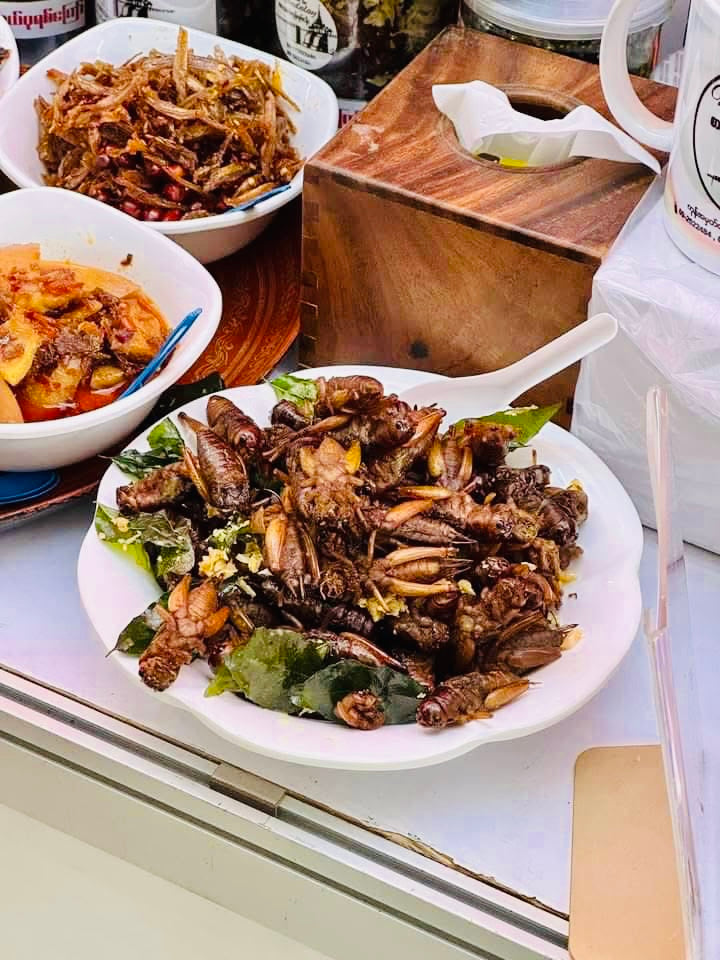 Made in Mandalay ကသာပုရစ်ကြော် (အကောင် ၅၀)