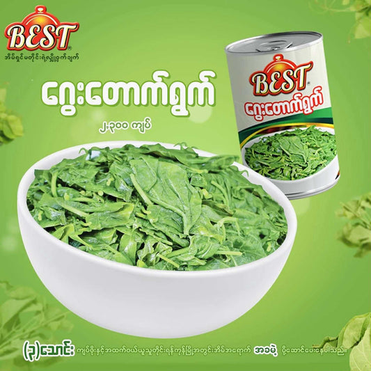 Best ‌ေဂွးတောက်ရွက်ပြုတ်