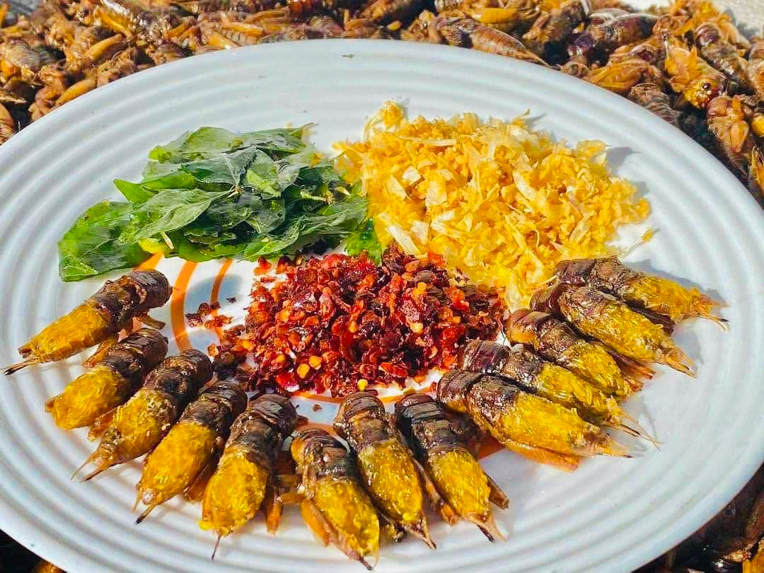 Made in Mandalay အမသီးသန့်ဥအပြည့်ပါ (အကောင် ၅၀)