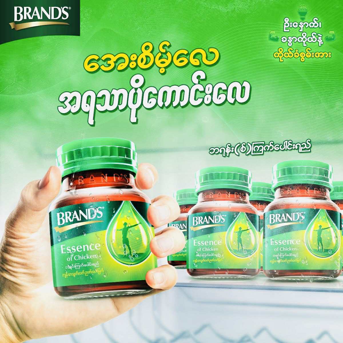 Brand'sကြက်ပေါင်းရည် ( 6 bottles * 42 ml)