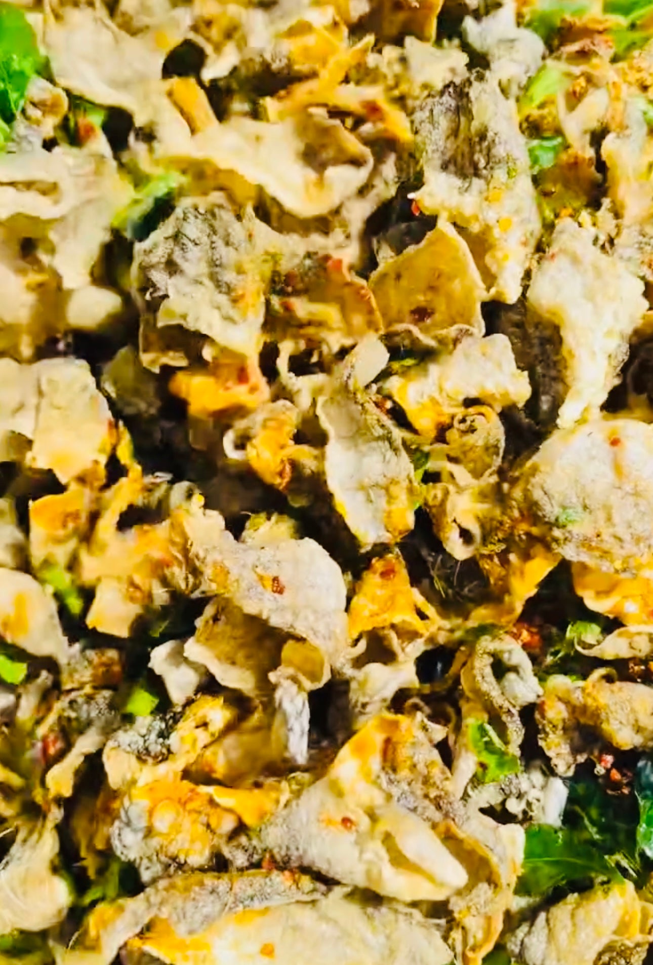 ဂုဏ်ဂုဏ် ငါးအရေခွံအစပ်ကြော်