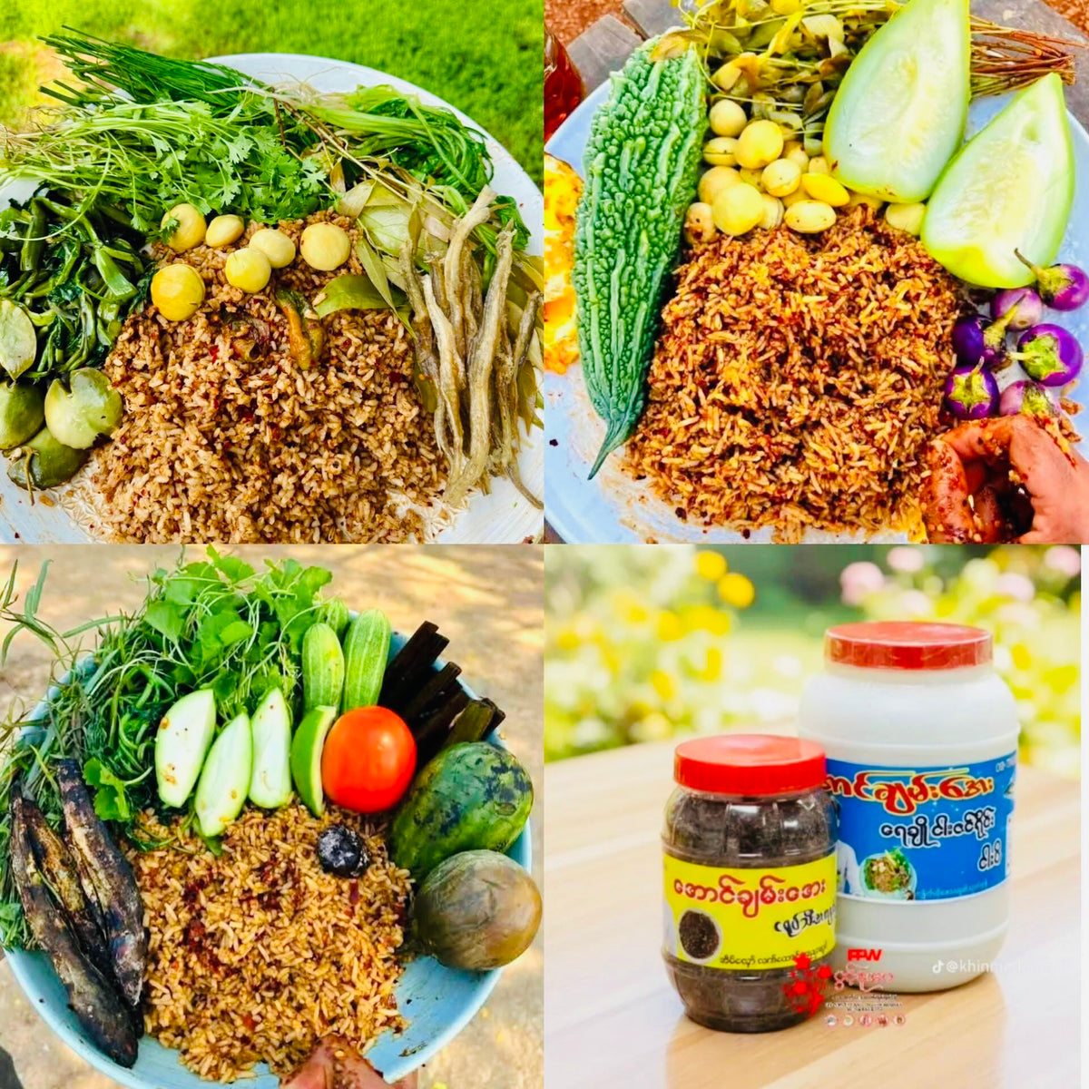‌အောင်ချမ်းအေး ရေချိုငါးဇင်ရိုင်း ငါးပိ
