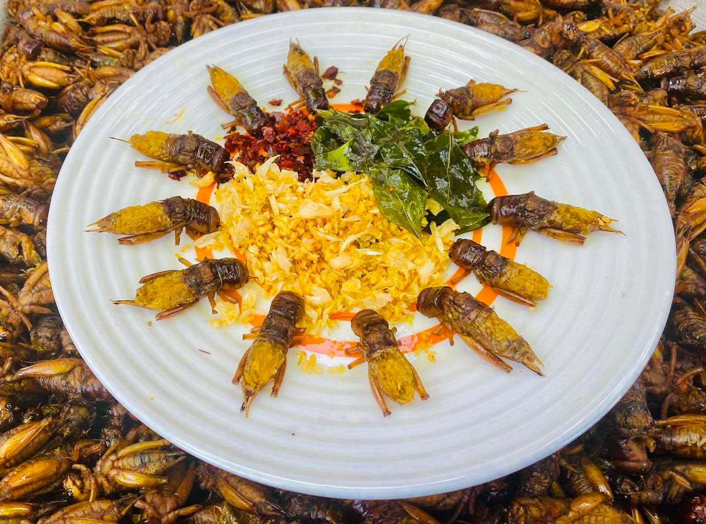 Made in Mandalay အမသီးသန့်ဥအပြည့်ပါ (အကောင် ၅၀)