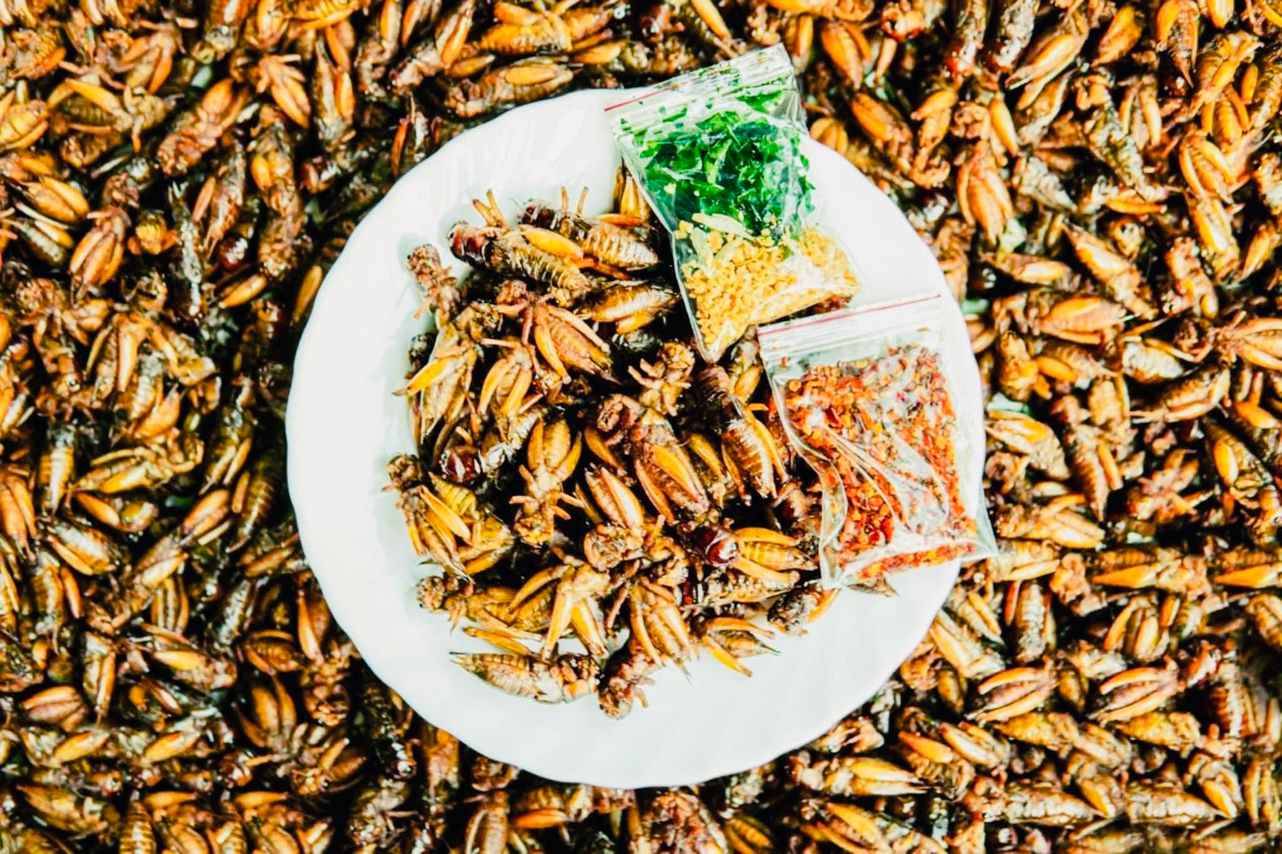 Made in Mandalay အမသီးသန့်ဥအပြည့်ပါ (အကောင် ၅၀)