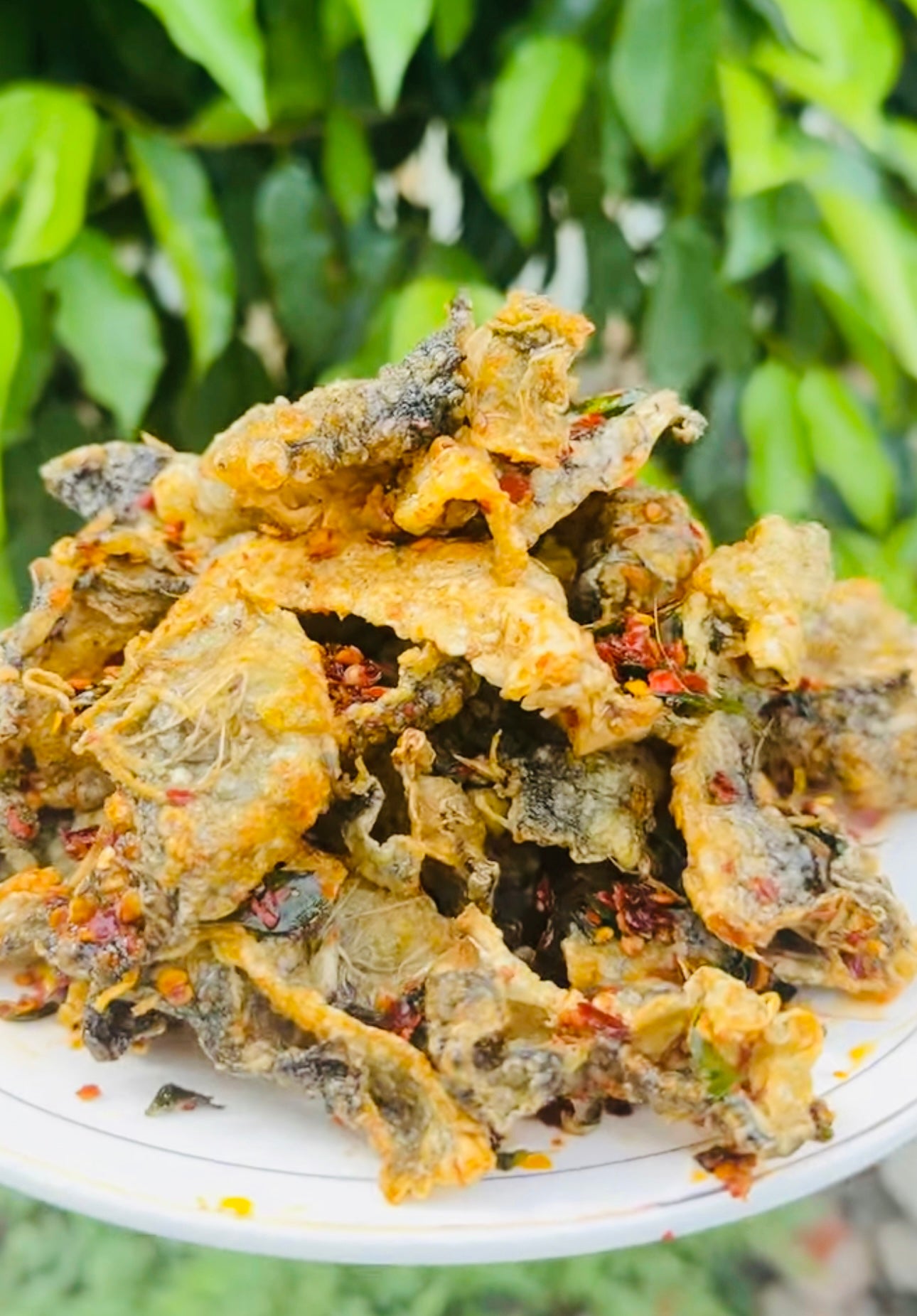 ဂုဏ်ဂုဏ် ငါးအရေခွံအစပ်ကြော်