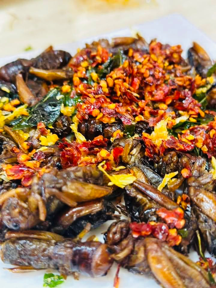 Made in Mandalay ကသာပုရစ်ကြော် (အကောင် ၅၀)