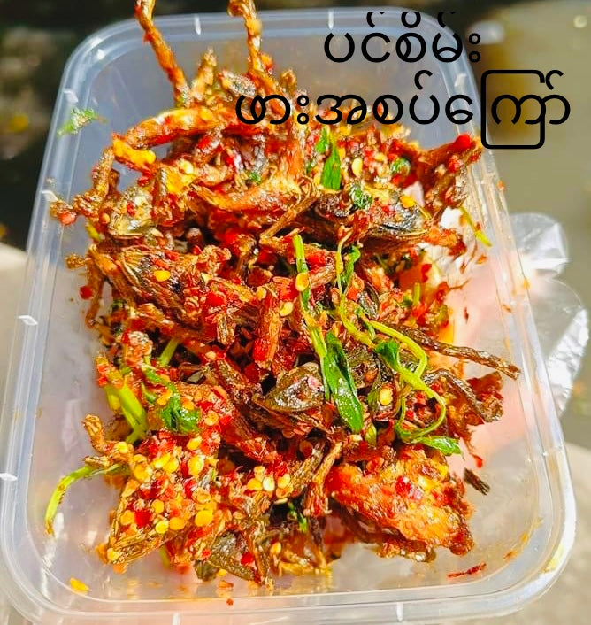 ပင်စိမ်း ဖား အစပ်ကြော် ( Basil Crispy Frogs )