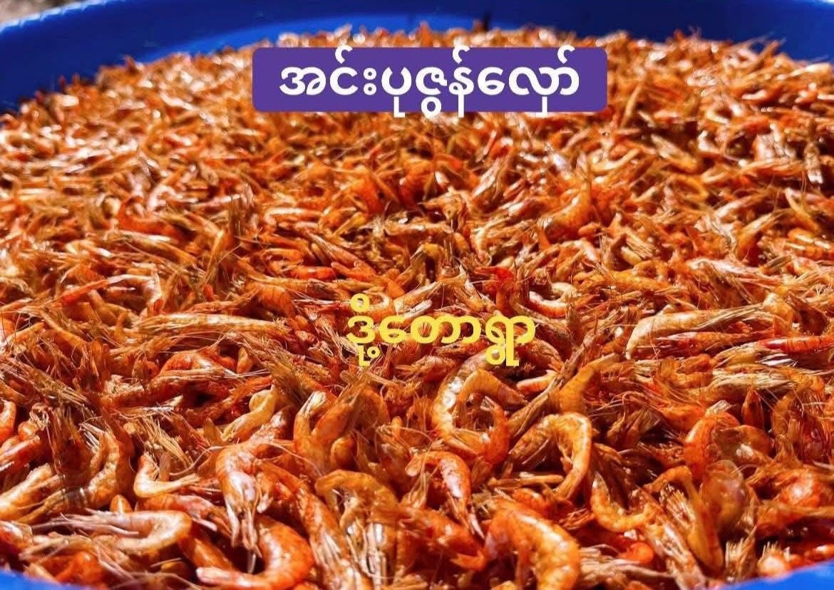 ဒို့တောရွာ အင်းပုဇွန်လှော်