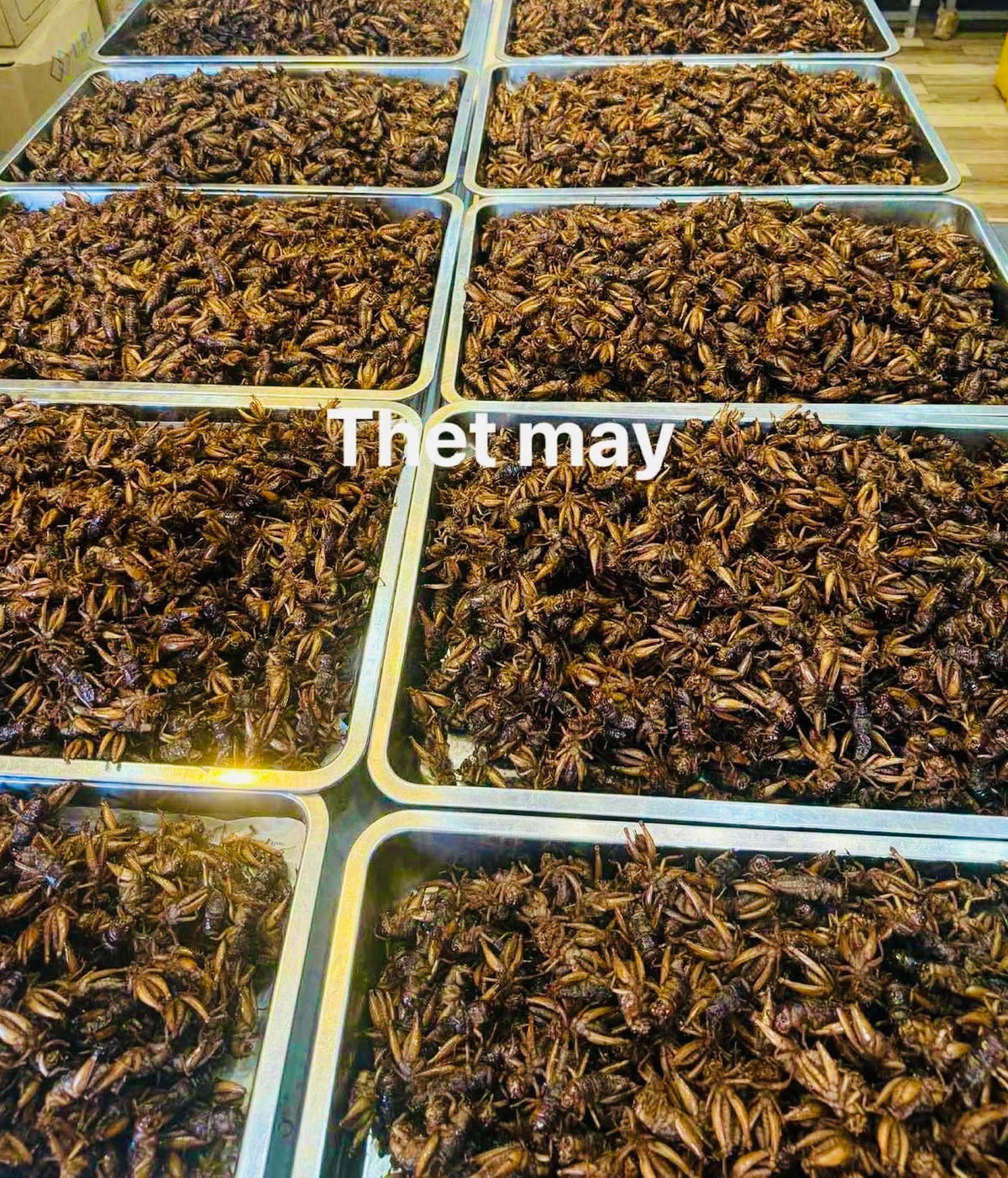 သက်မေ ပုရစ်ကြော် (အကောင် ၅၀)