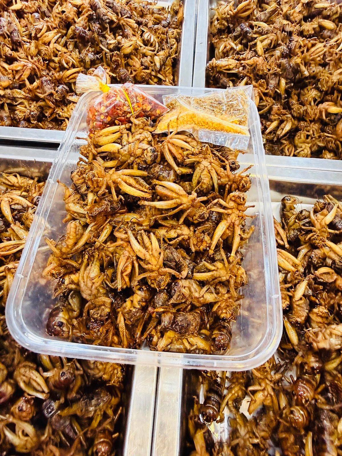 သက်မေ ပုရစ်ကြော် (အကောင် ၅၀)
