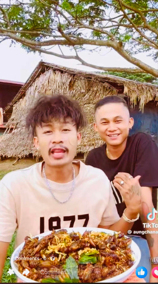 ရန်ကုန်သူ အမဥအပြည့်ပါ ပုရစ်ကြော်အစပ် (အကောင် ၅၀)