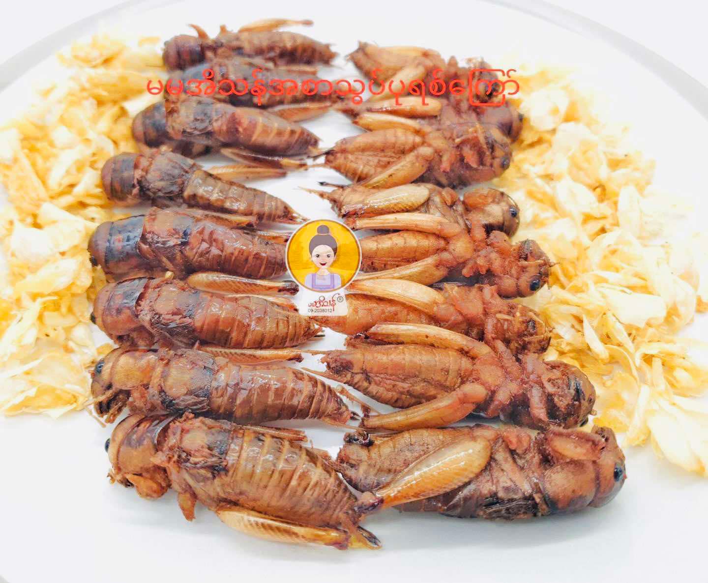 မမအိသန်  ကြက်သွန်ဖြူ ငရုတ်သီးအစာသွပ် (အကောင် ၅၀)