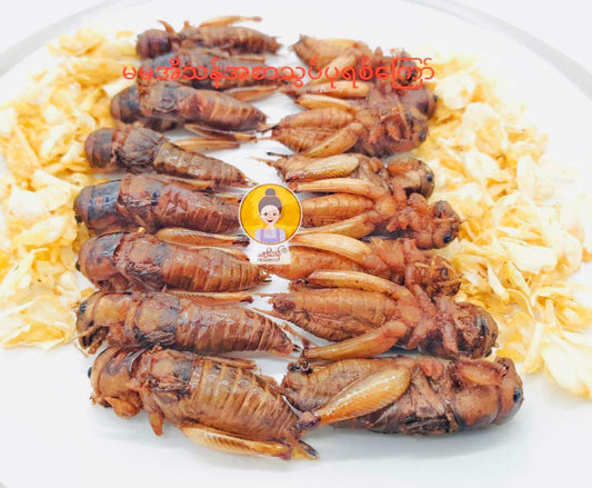 မမအိသန်  ကြက်သွန်ဖြူ ငရုတ်သီးအစာသွပ် (အကောင် ၅၀)