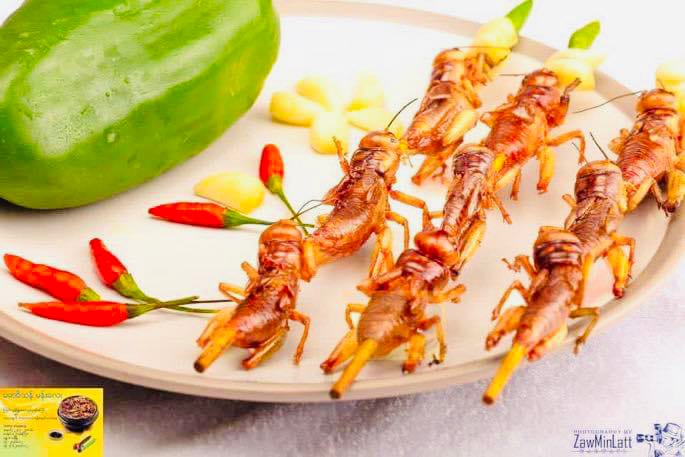 မမအိသန်  ကြက်သွန်ဖြူ ငရုတ်သီးအစာသွပ် (အကောင် ၅၀)
