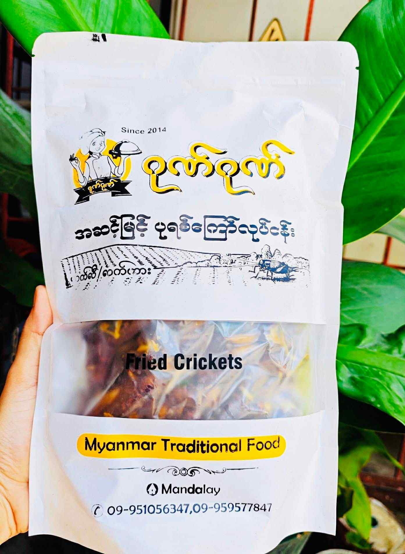 ဂုဏ်ဂုဏ် အမ သီးသန့်ဥအပြည့်ပါ ပုရစ်ကြော်အစပ် (အကောင် ၅၀)