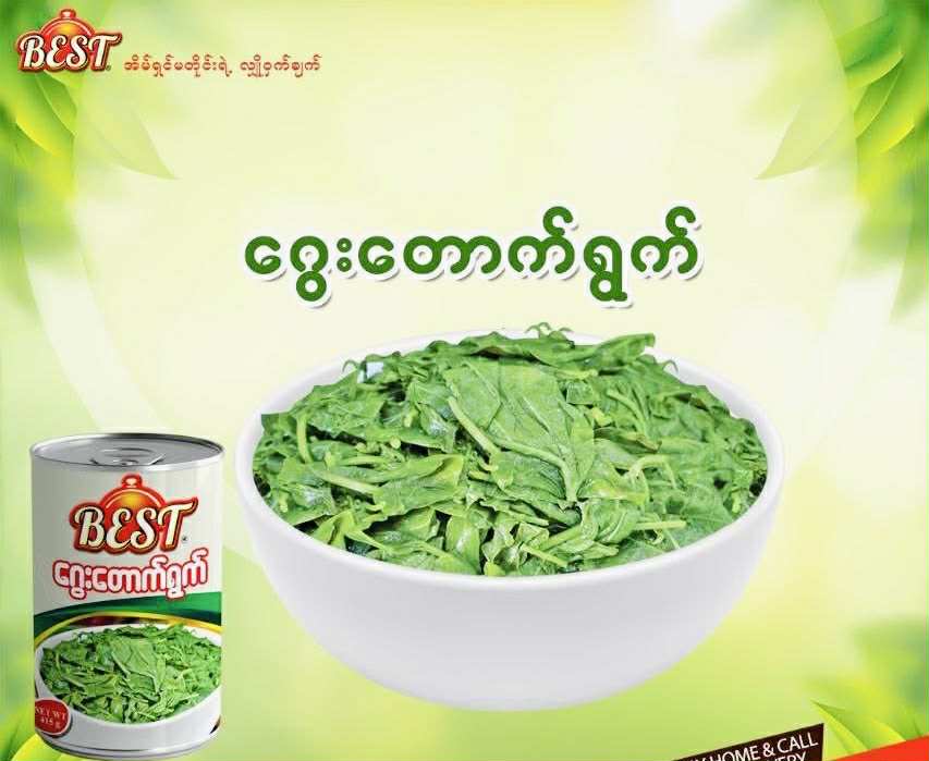 Best ‌ေဂွးတောက်ရွက်ပြုတ်